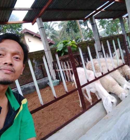 Jenis-Kegiatan-Wisata-Beternak-Hewan