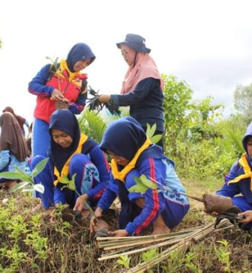 Jenis-Kegiatan-Wisata-Menanam-Mangrove-3