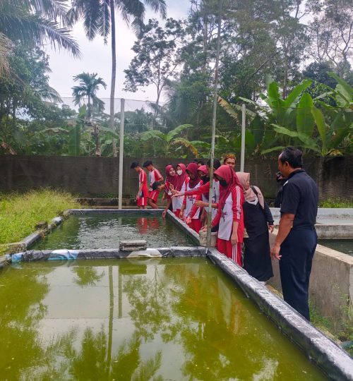 WhatsApp Image 2023-04-06 at 17.37.25 (2)