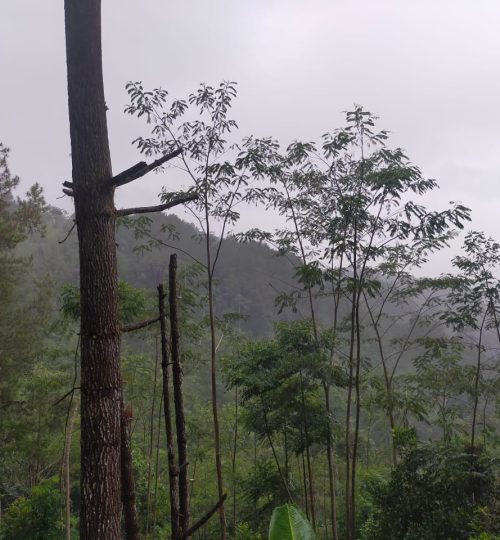 WhatsApp Image 2023-04-08 at 17.40.58