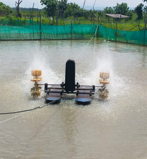 WhatsApp Image 2023-05-12 at 06.57.45