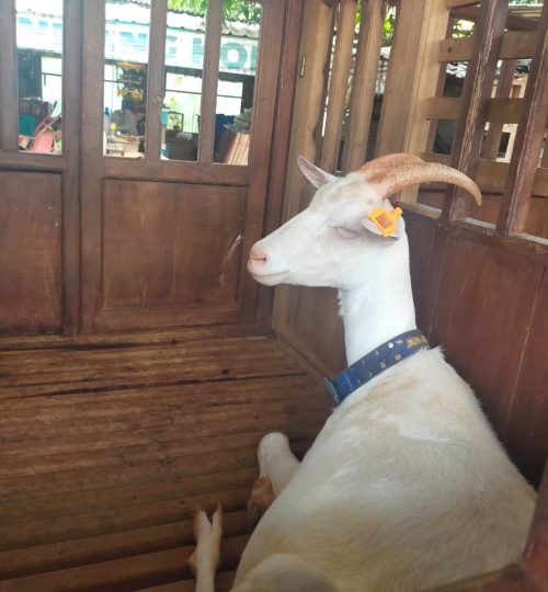 WhatsApp Image 2023-05-12 at 06.59.14