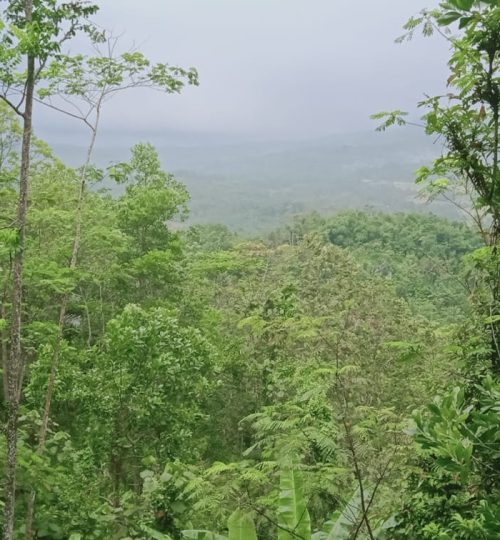 wisata-menginap-bermalam-di-gunung